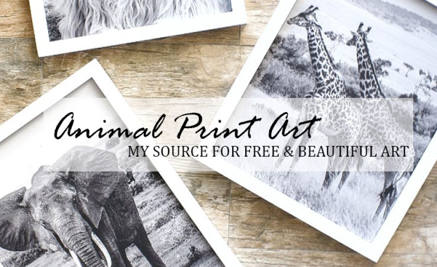 Animal Print Art